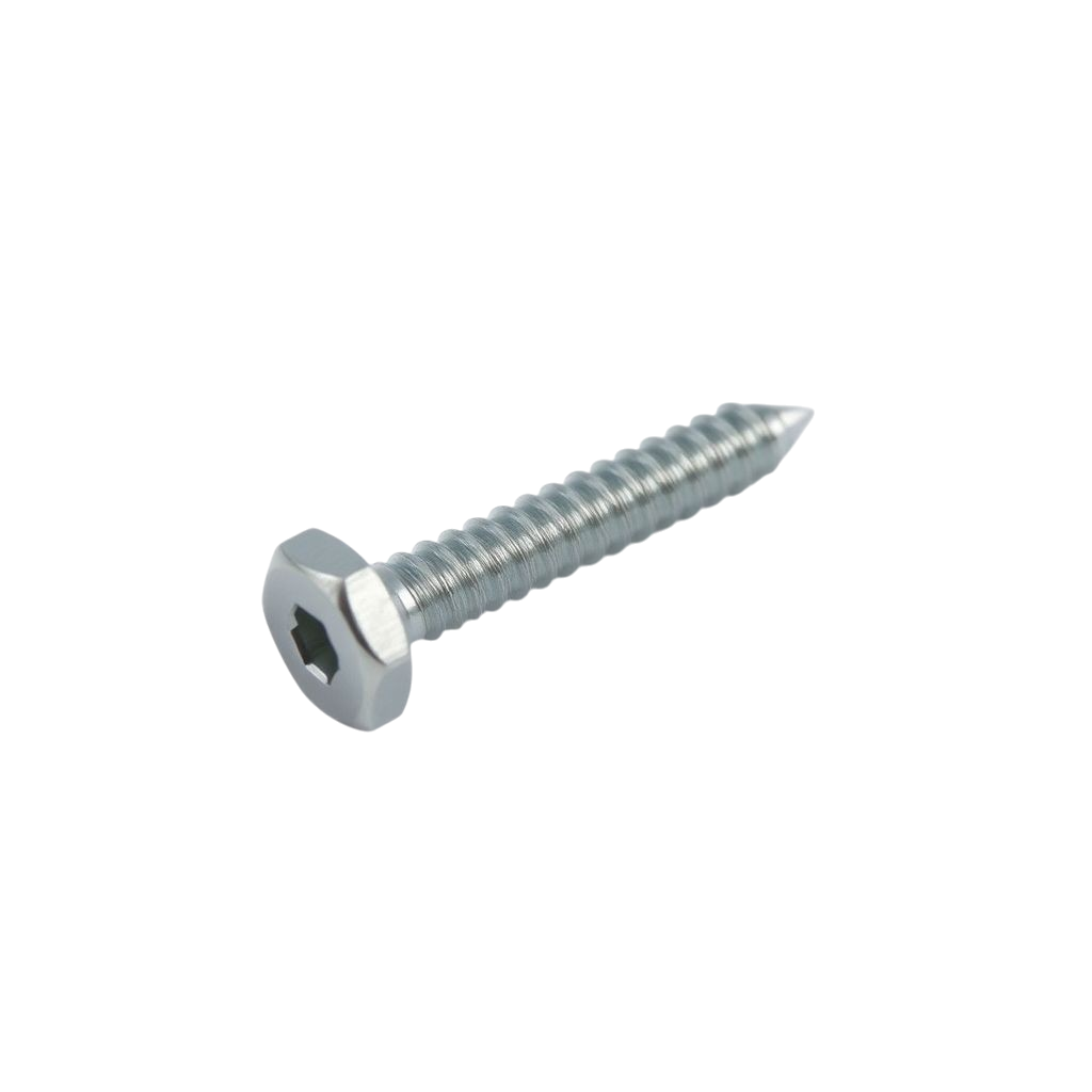 Screws Type 5